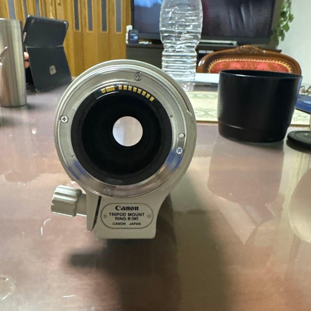 C*プ様 Canon EF 100-400mm f/4.5-6.3L IS US