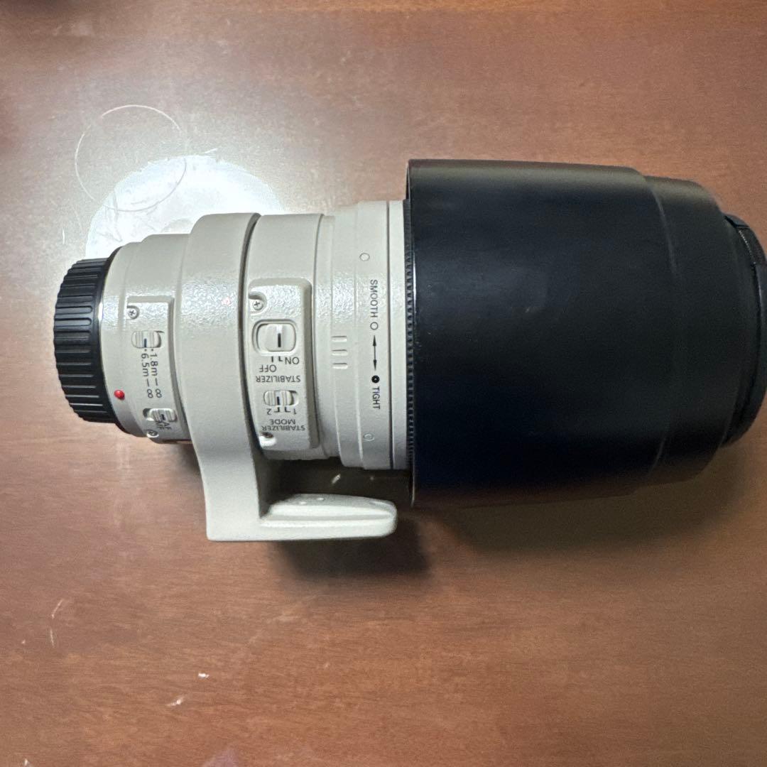 C*プ様 Canon EF 100-400mm f/4.5-6.3L IS US