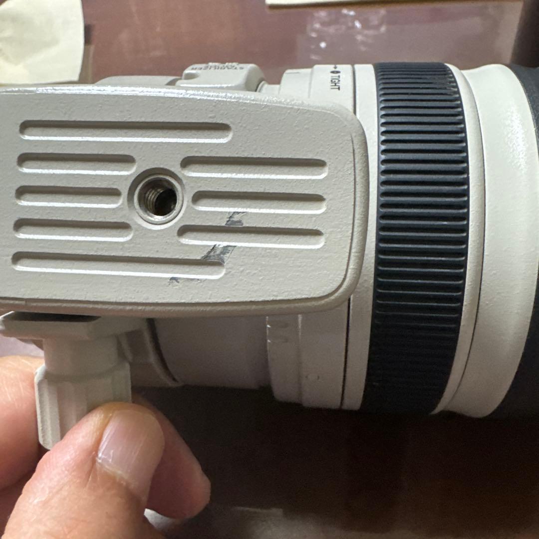 C*プ様 Canon EF 100-400mm f/4.5-6.3L IS US