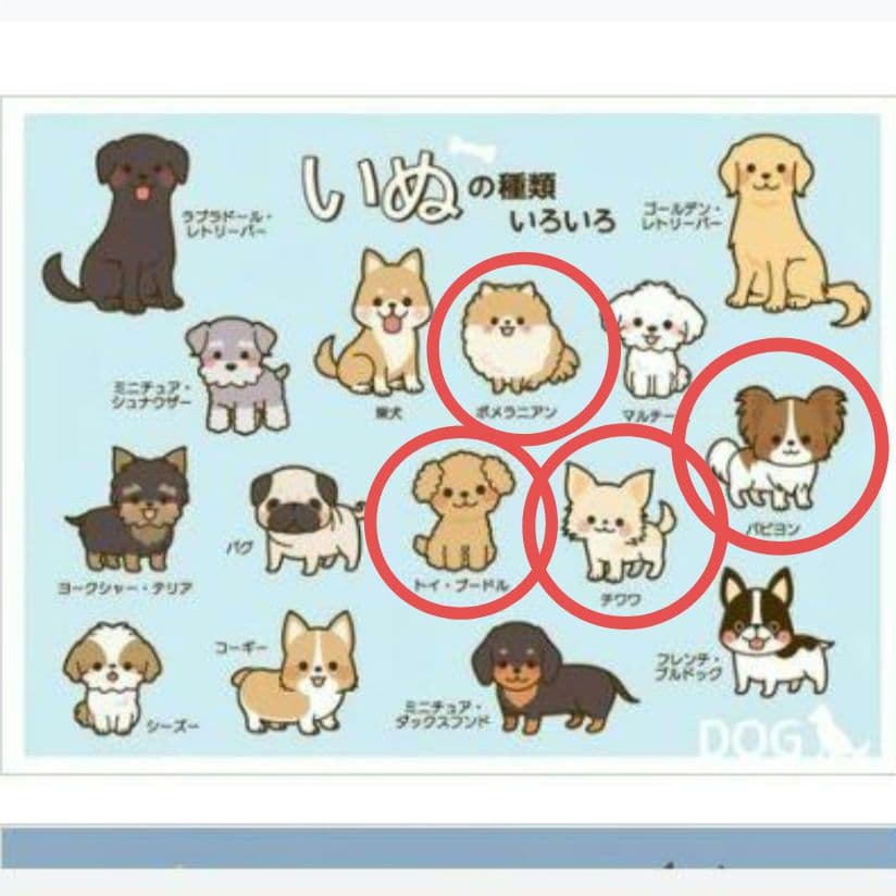 ∞∞竹ちゃんさん商談中