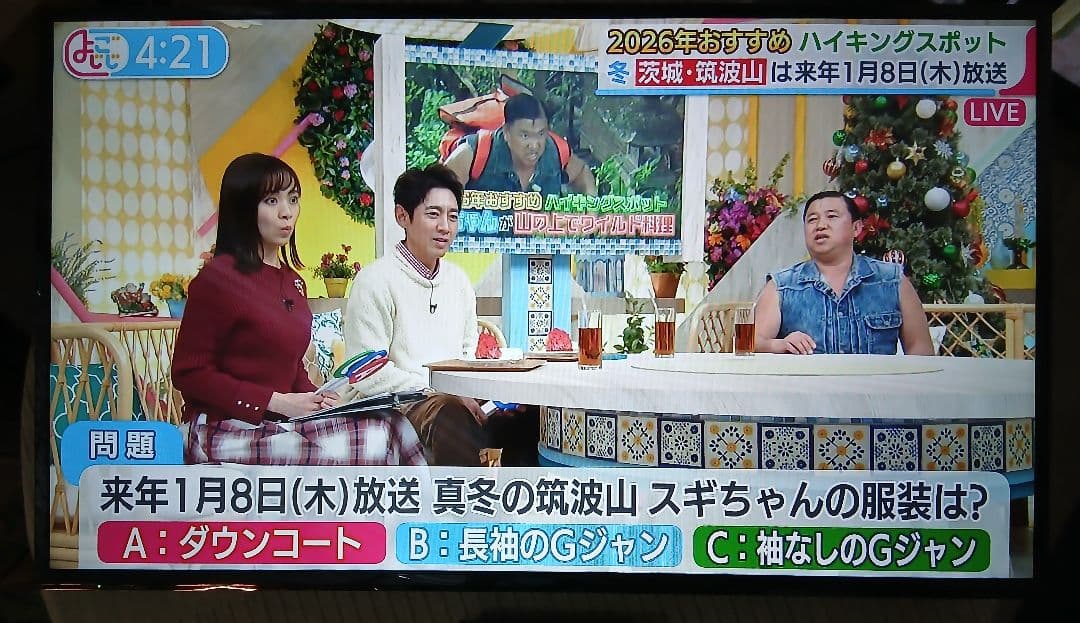 49インチ液晶テレビ Panasonic TH-49E300HT【スタンド無】⑳