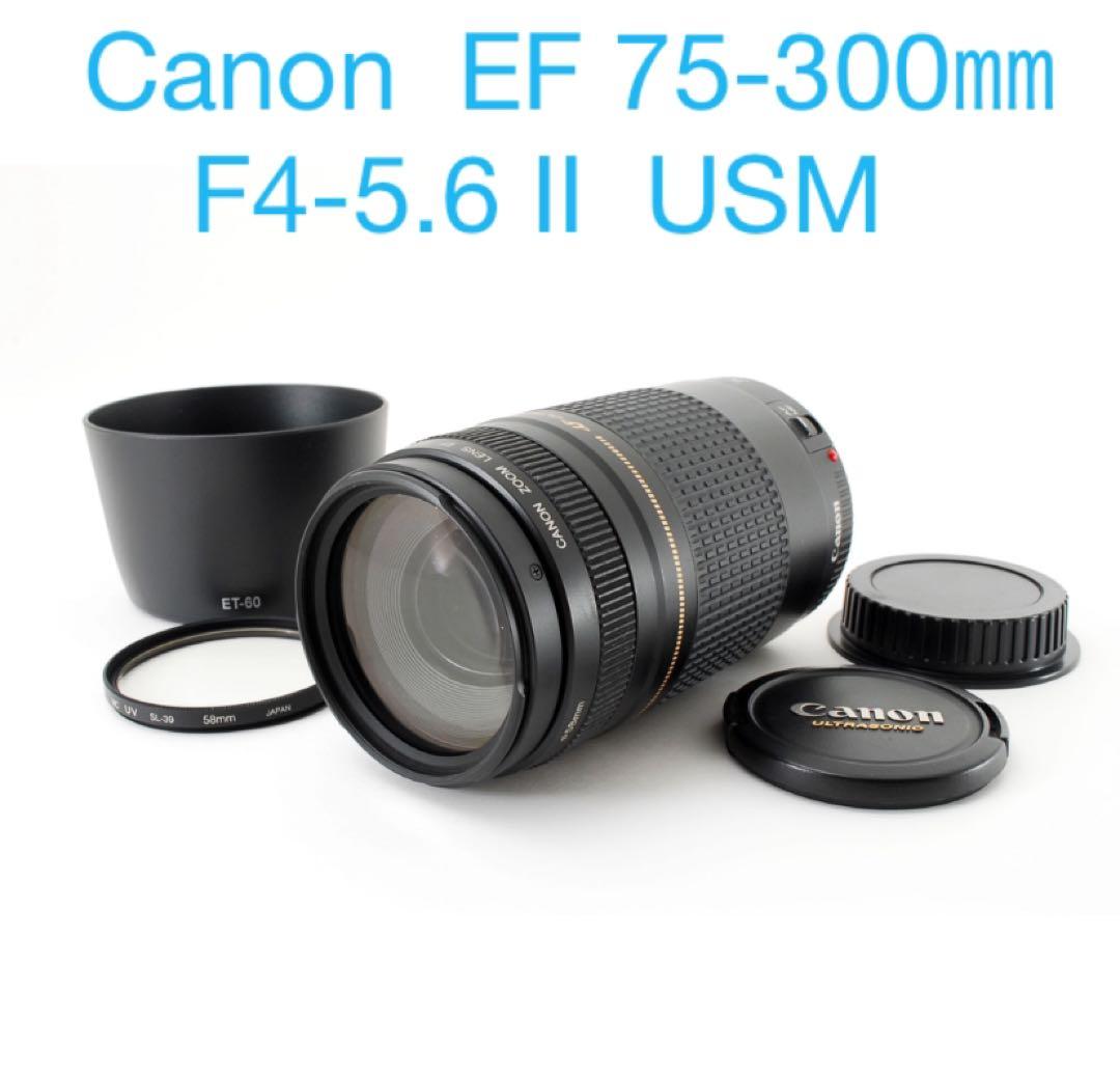 フード付き/人気の望遠レンズ/キヤノン/Canon EF75-300㎜