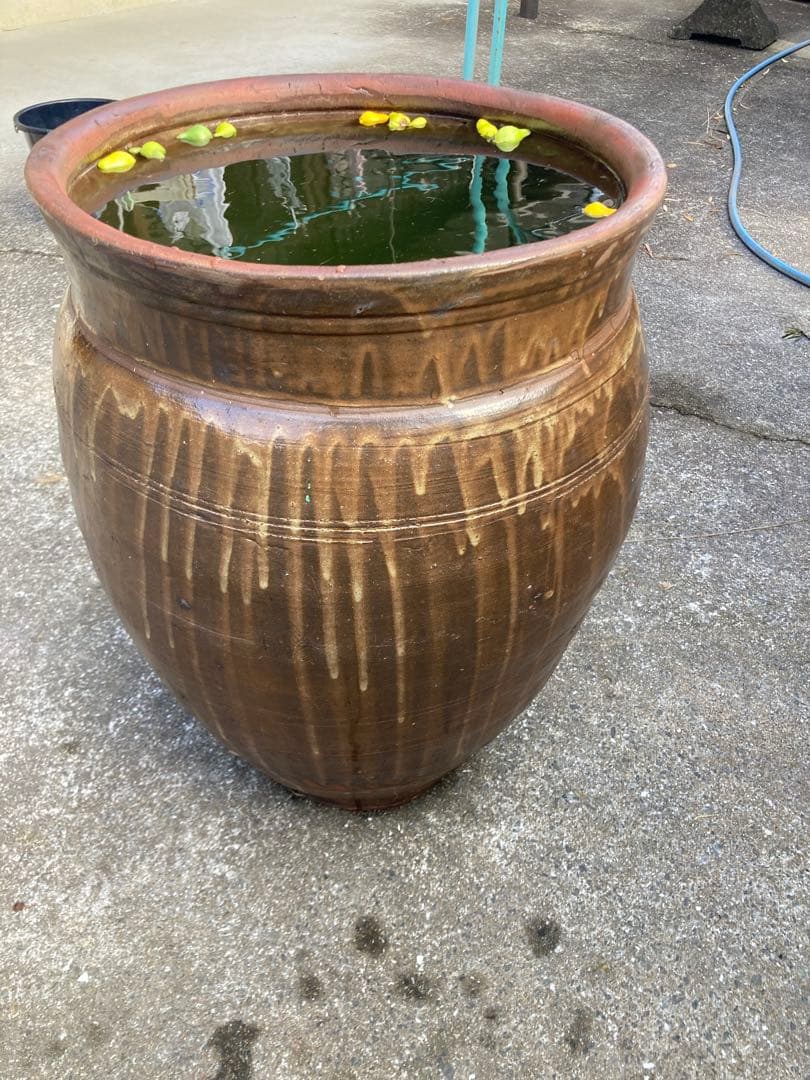 大型 水瓶 睡蓮鉢 火鉢 陶器製 壺 メダカ鉢 高さ64cm 直径42cm 骨董
