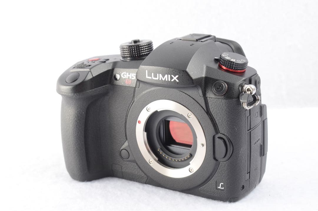 ■ ショット約510回 ■Panasonic DC-GH5S 予備バッテリー付