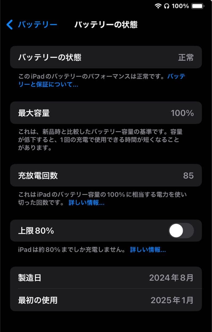 iPad mini7 A17pro 128GB ブルー　Wi-Fiモデル