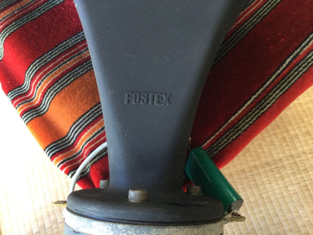 ホーンスピーカー ブラック　ＦＯＳＴＥＸ FT600