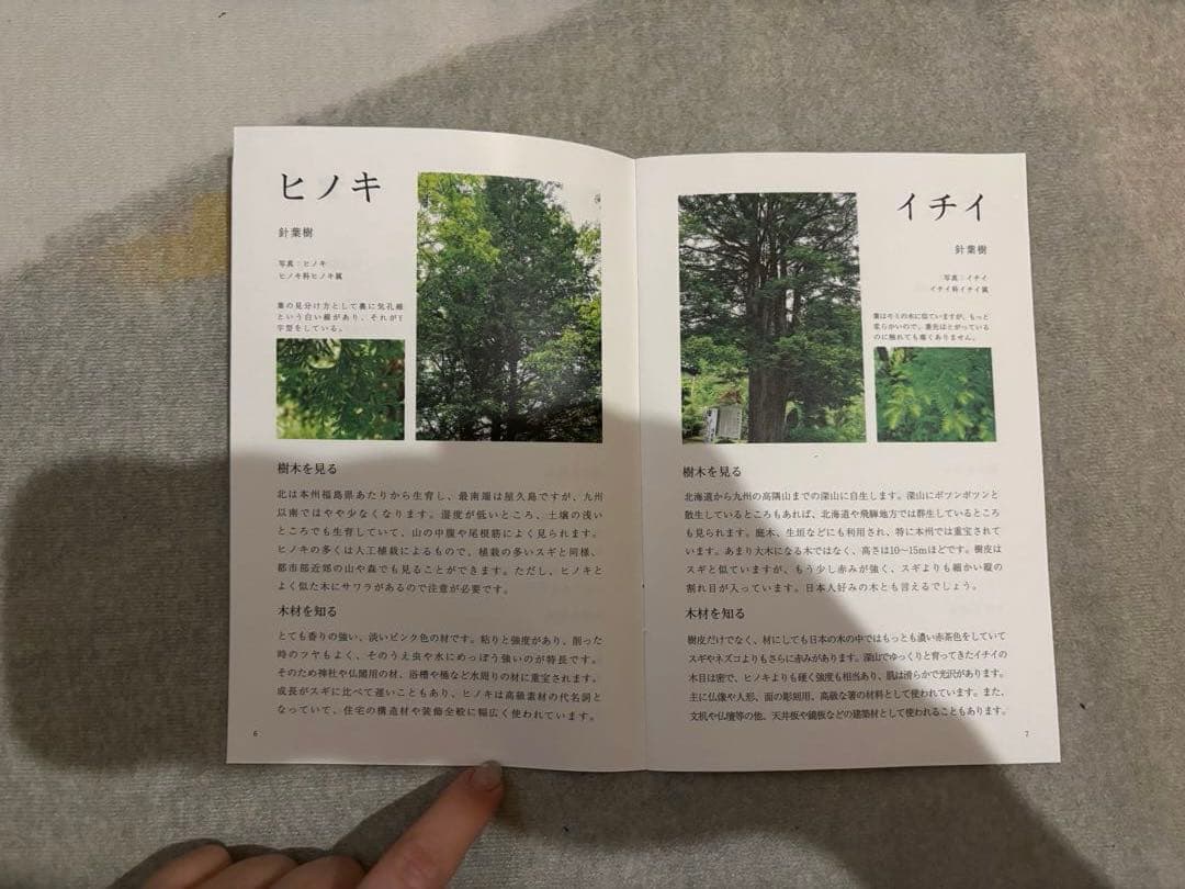 新品未使用【オークヴィレッジ】寄木の積木セット(木箱入り)