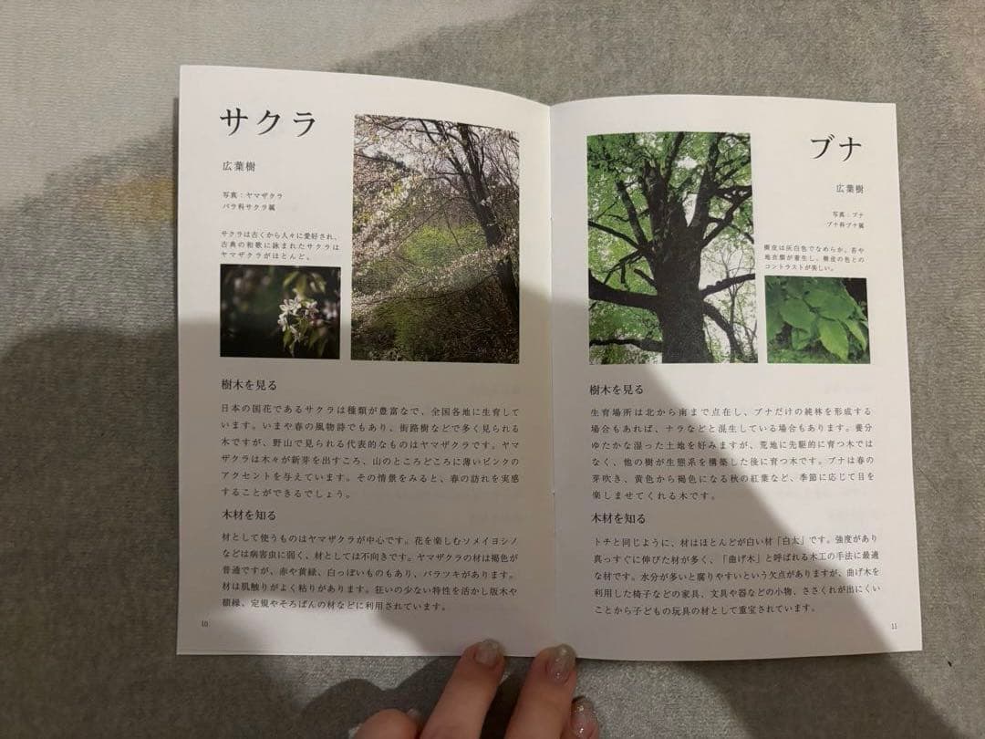 新品未使用【オークヴィレッジ】寄木の積木セット(木箱入り)