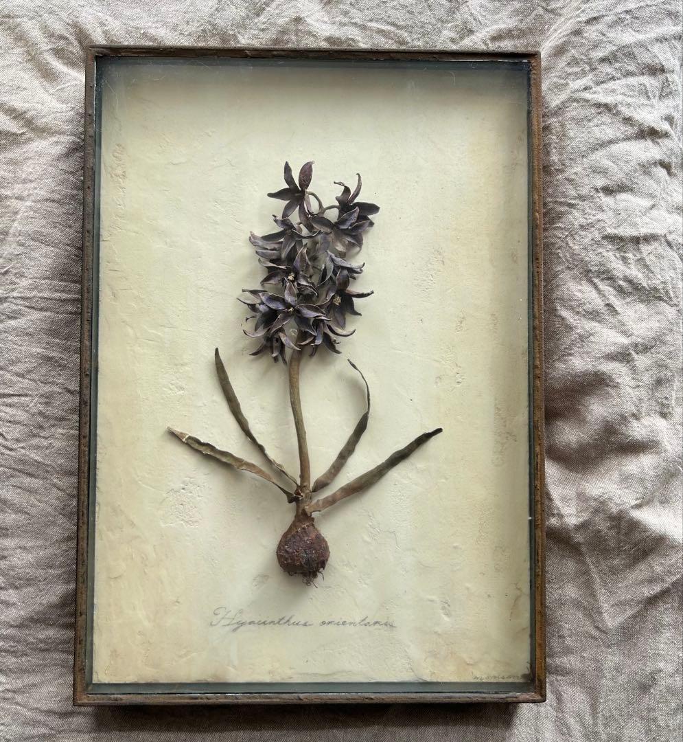 モリソン小林 special source 鉄の草花アート作品 idee