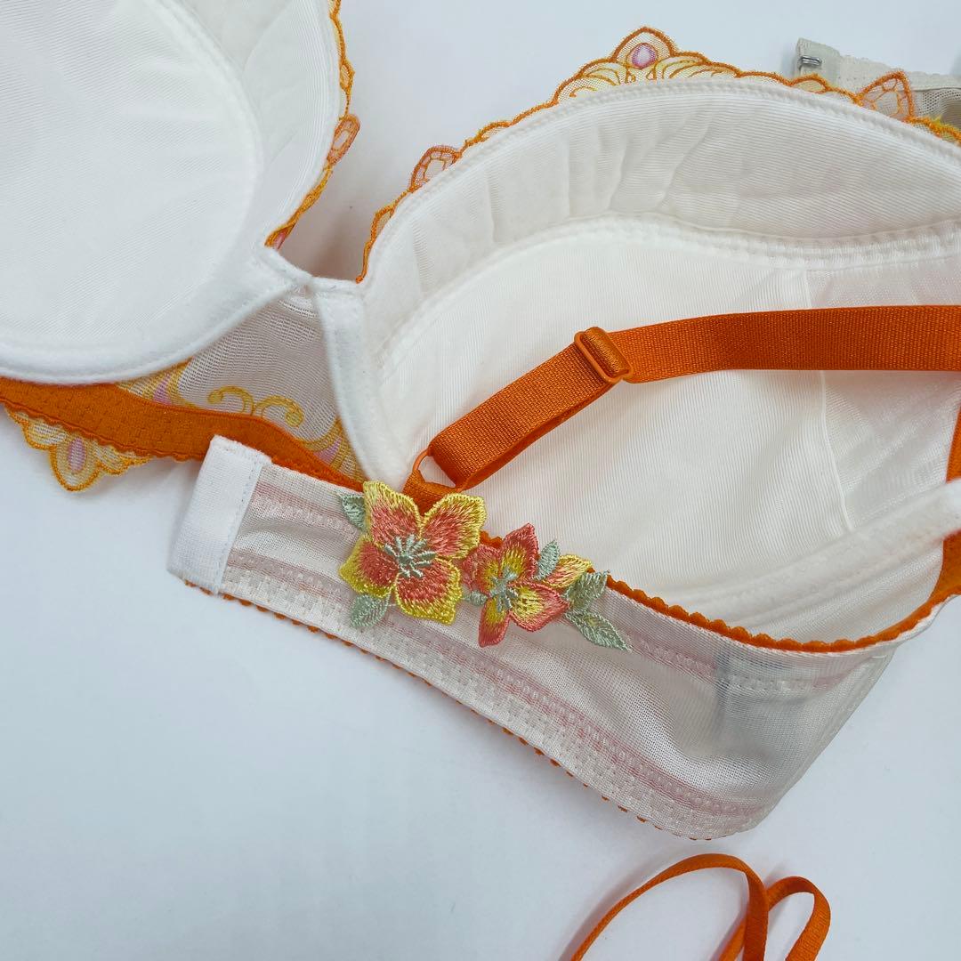 ワコール サルート　Wacoal Salute ブラ&ソングセットE75L