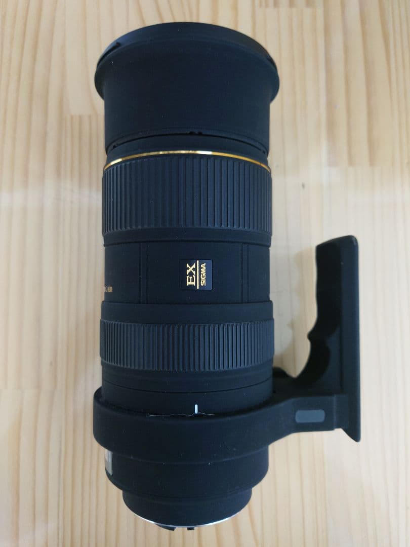 SIGMA シグマ APO 50-500mm F4-6.3 EX DG HSM