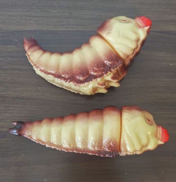 マルサン 電撃怪獣大作戦 モスラ幼虫