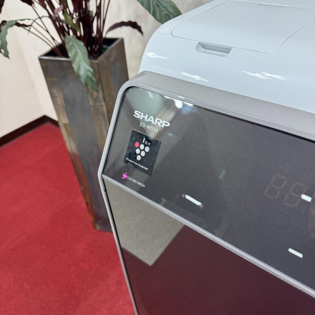 東京23区送料無料　超美品シャープドラム洗濯乾燥機型2022年製　洗浄/除菌済み