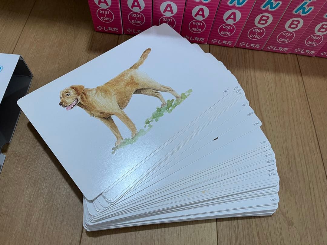 かな絵ちゃん Aセット Bセット