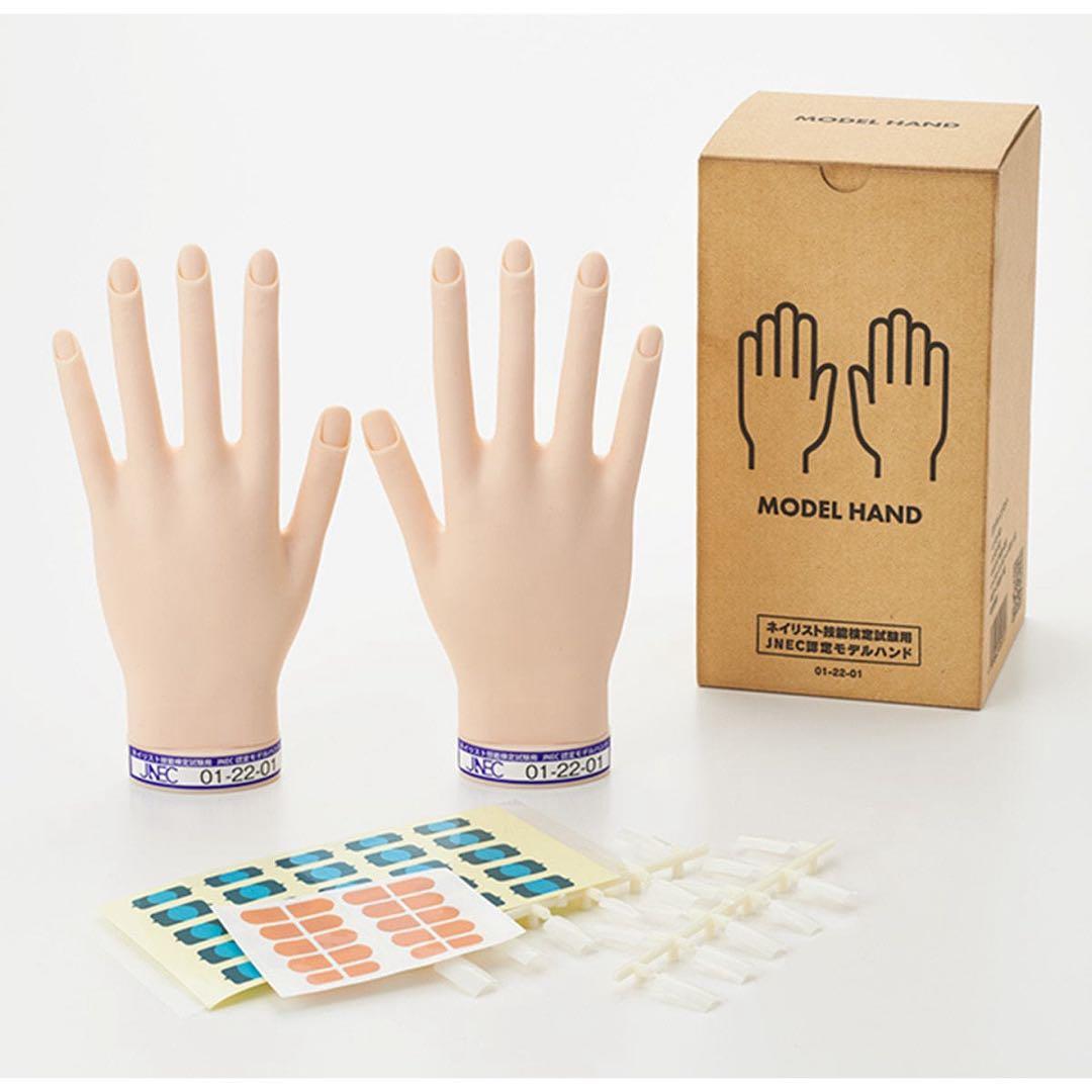 MODEL HAND ネイルアート練習用手モデル STハンド