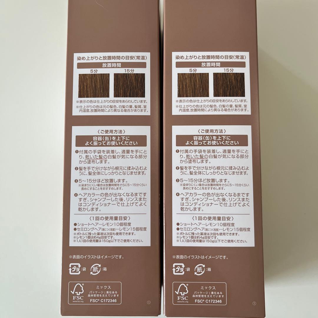 ヘアボーテエクラボタニカルエアカラーフォームEXライトブラウン150g×2本