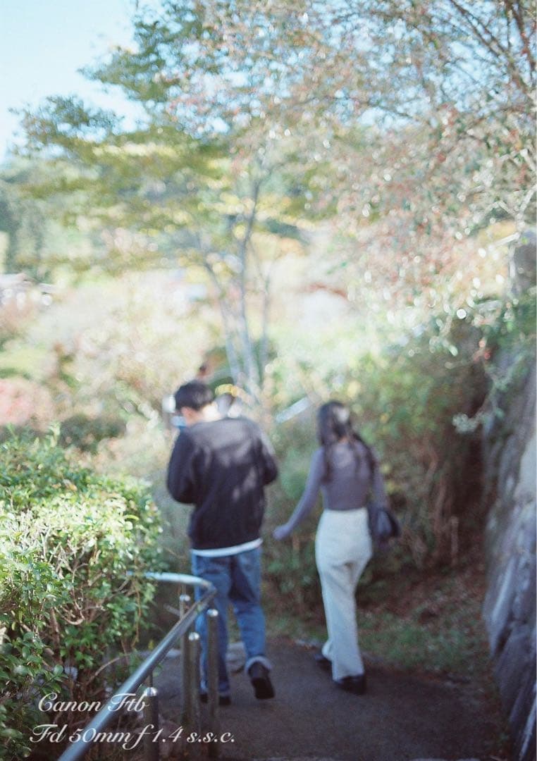 ★Canon FTb ★FD f1.4ssc★完動品＊美品＊初期保証＊作例多数！