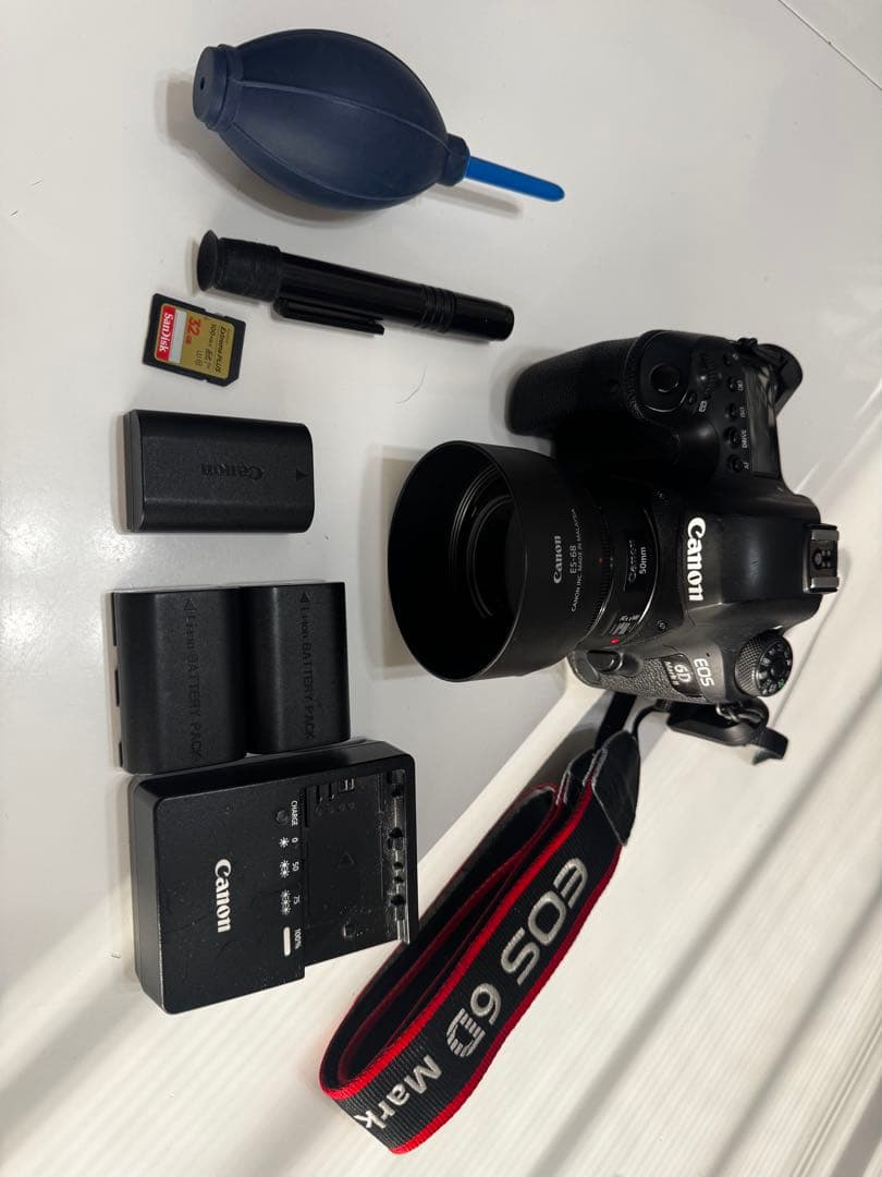 Canon EOS 6D MarkII レンズ付き