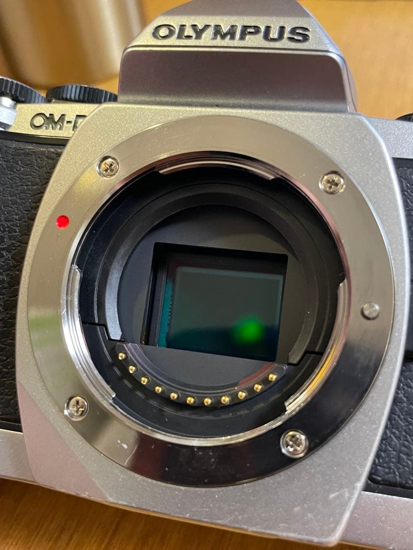 OM-D E-M10 ボディ　ショット数6552回