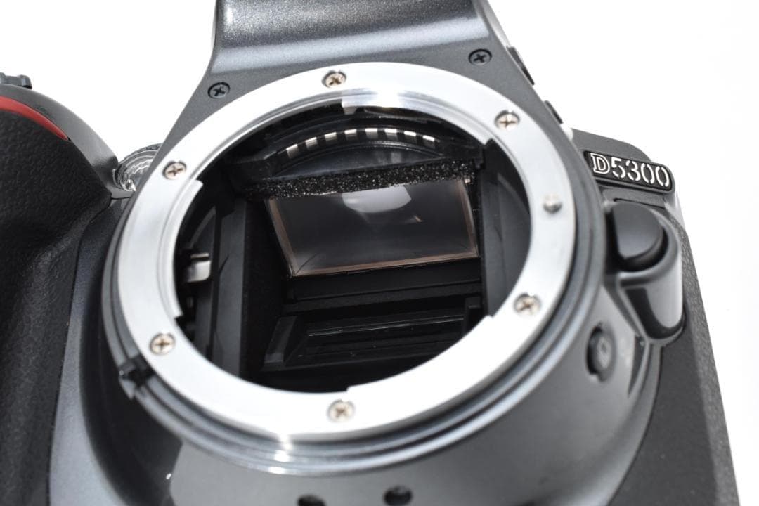 ショット数994回✨ほぼ新品✨希少グレー✨Nikon D5300 Wレンズセット