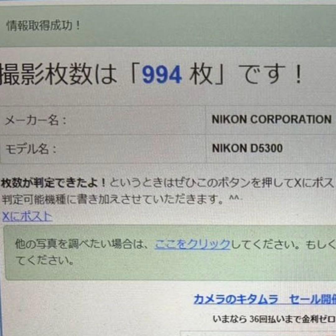 ショット数994回✨ほぼ新品✨希少グレー✨Nikon D5300 Wレンズセット