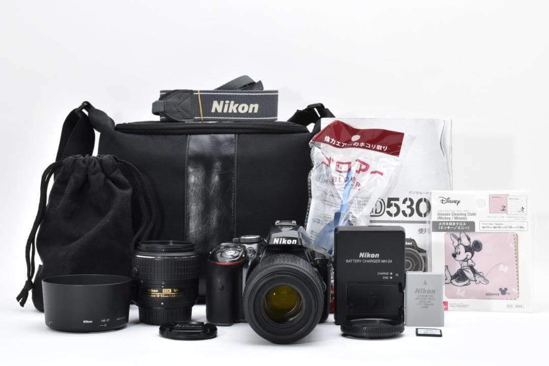 ショット数994回✨ほぼ新品✨希少グレー✨Nikon D5300 Wレンズセット