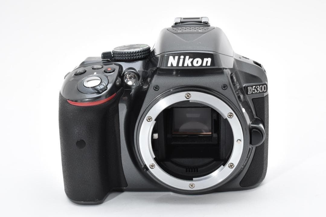 ショット数994回✨ほぼ新品✨希少グレー✨Nikon D5300 Wレンズセット