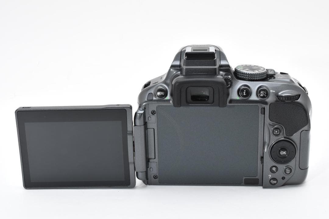 ショット数994回✨ほぼ新品✨希少グレー✨Nikon D5300 Wレンズセット