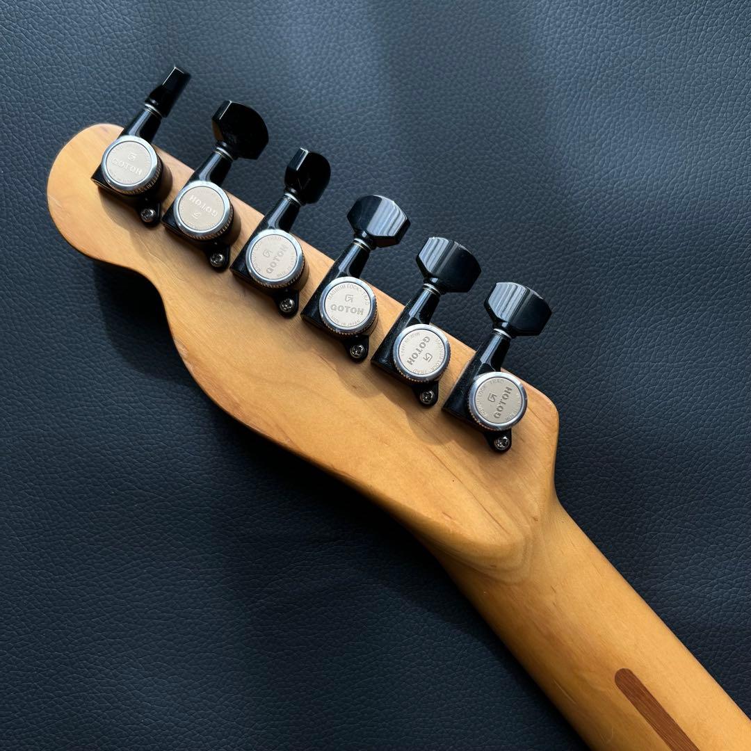 FERNANDES TE-95T JUDY AND MARY TAKUYAモデル