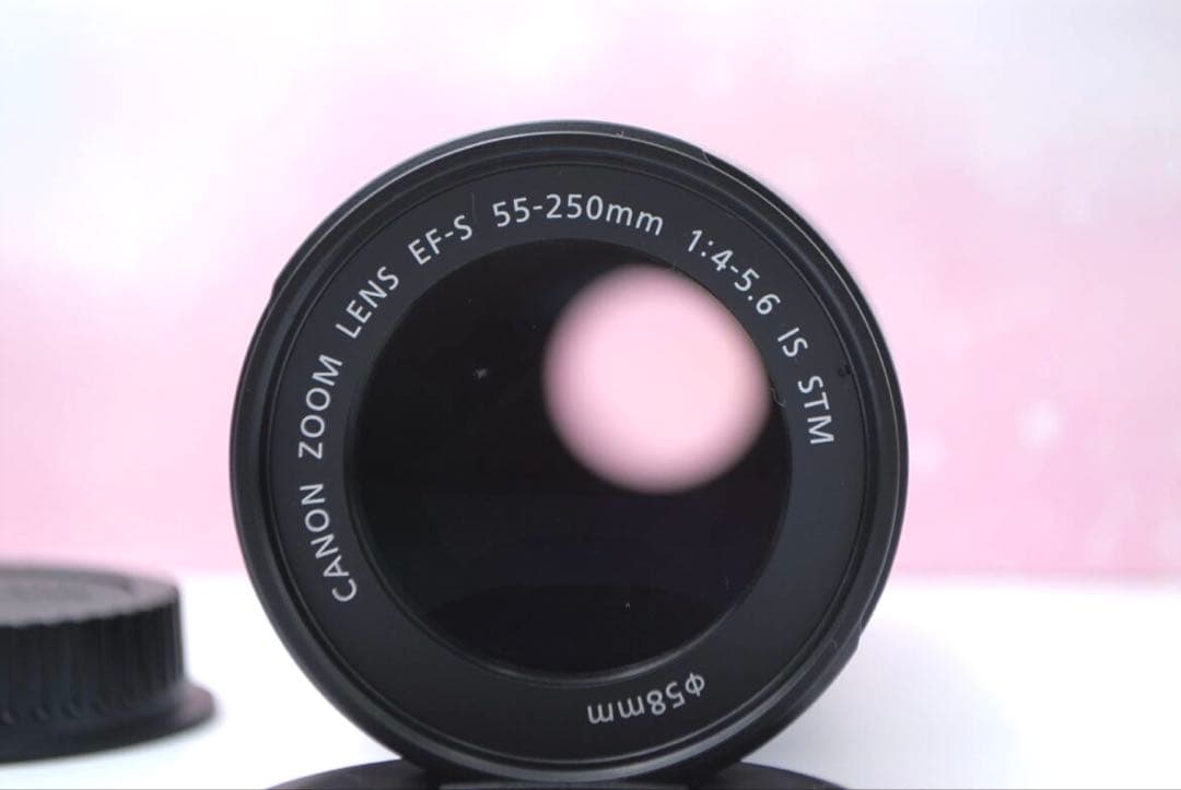 ⭐最新望遠レンズ⭐EF-S 55-250mm IS STM 一眼レフ 望遠レンズ