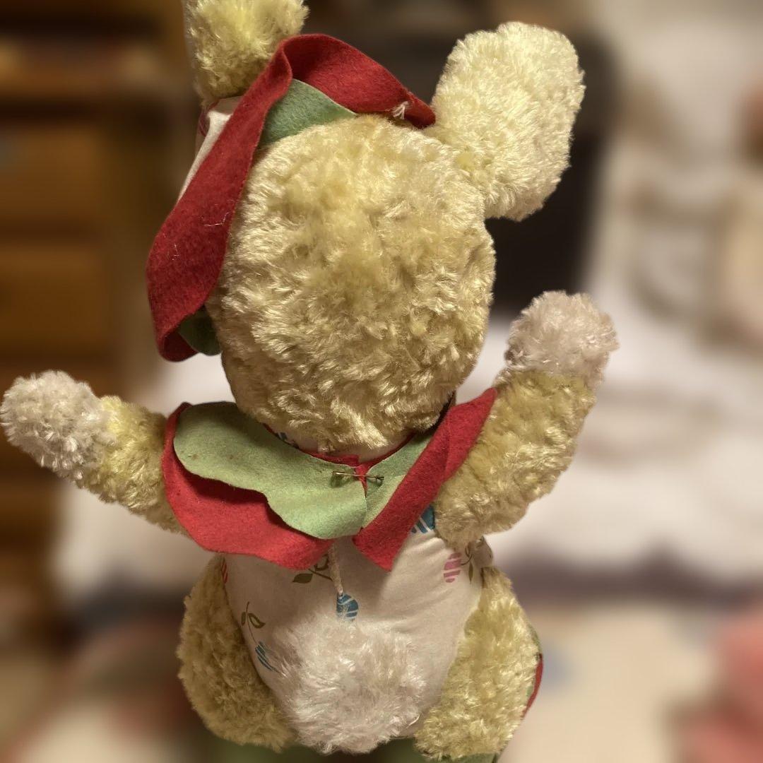 ラシュトンラバーフェイスクラウンバニー