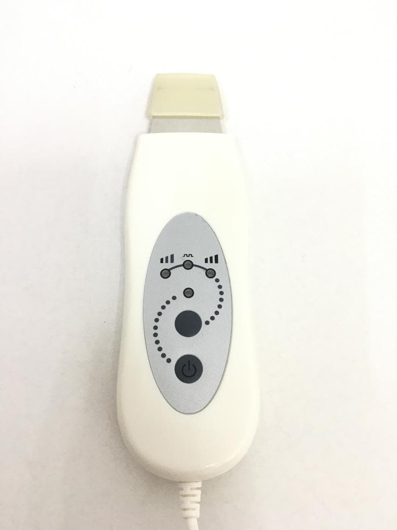 ホームエステ エステツイン MESO500 エレクトロポレーション