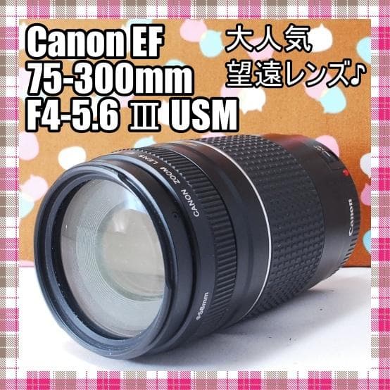 ✨大人気望遠レンズ✨Canon EF 75-300mm F4-5.6 Ⅲ USM
