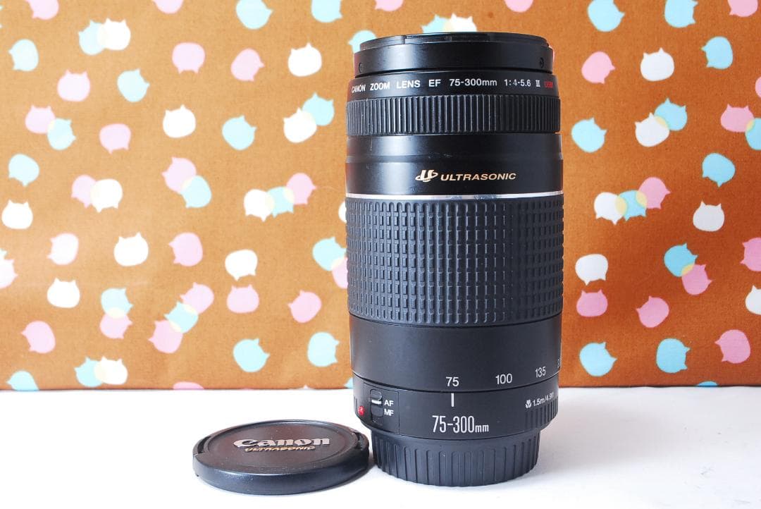 ✨大人気望遠レンズ✨Canon EF 75-300mm F4-5.6 Ⅲ USM