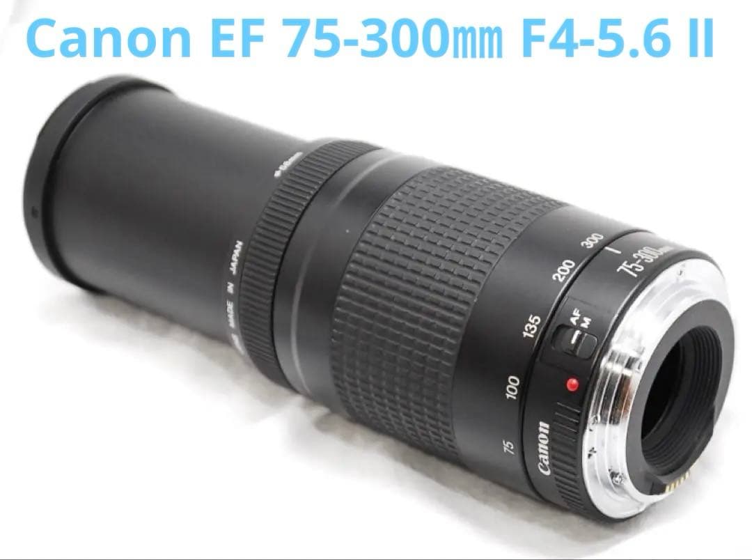 迫力300㎜/キヤノン/Canon EF 75-300㎜ F4-5.6 Ⅱ