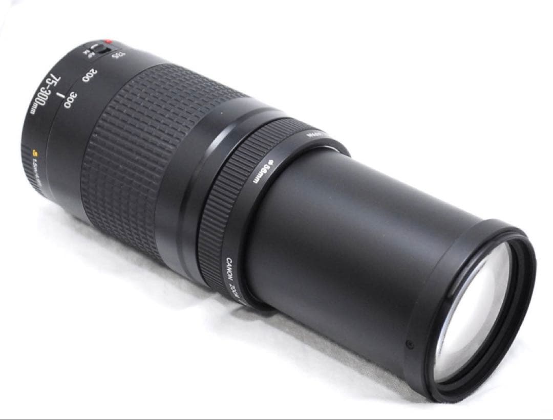 迫力300㎜/キヤノン/Canon EF 75-300㎜ F4-5.6 Ⅱ