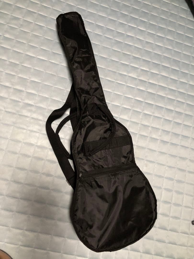 アリアARIA ASA-18N miniギター　ニューヨーカースリムボディタイプ