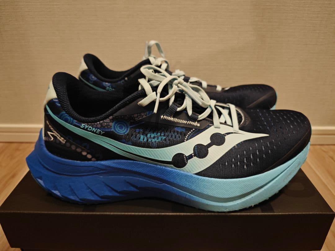 [値下げOK] Saucony エンドルフィンスピード 4 29センチ