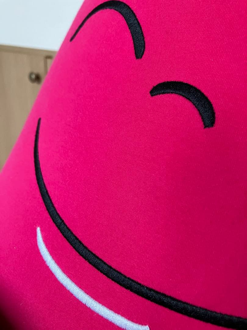 Yogibo Hugibo (ハギボー) ピンク　利用半年程度