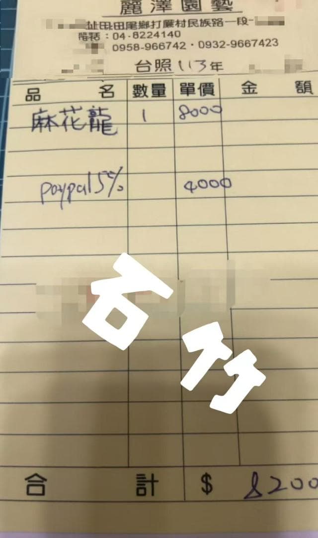 杉*山様 アガベ チタノタ 麻花龍 極上強棘 美株 ブツブツ コレクシ Lize