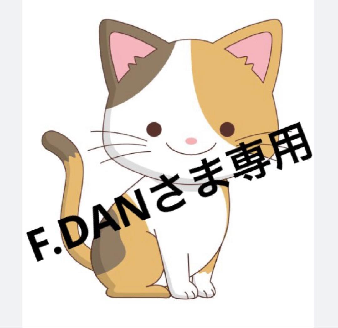【F.DANさま専用】