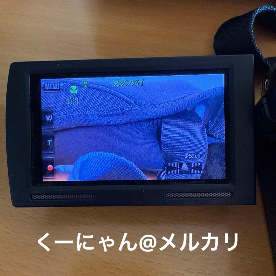 ソニーハイビジョンデジタルビデオカメラHDR-CX590V