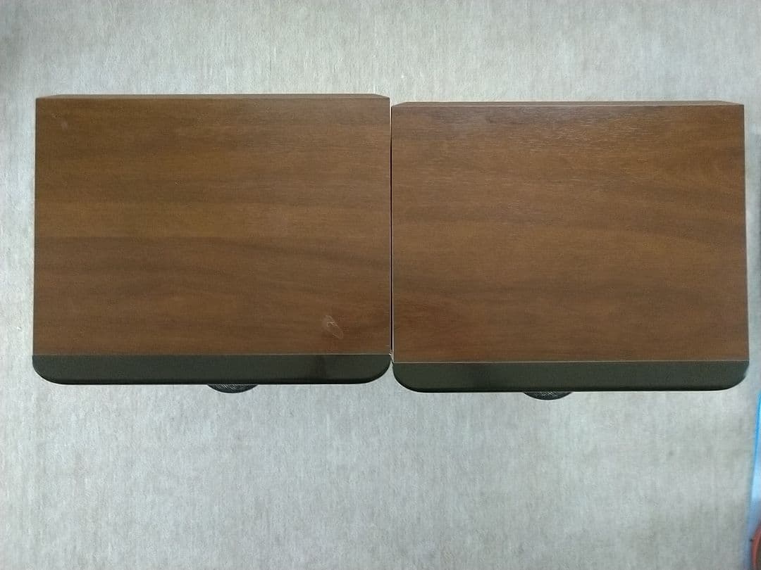 スピーカー・ウーファー DIATONE DS-1000ZX