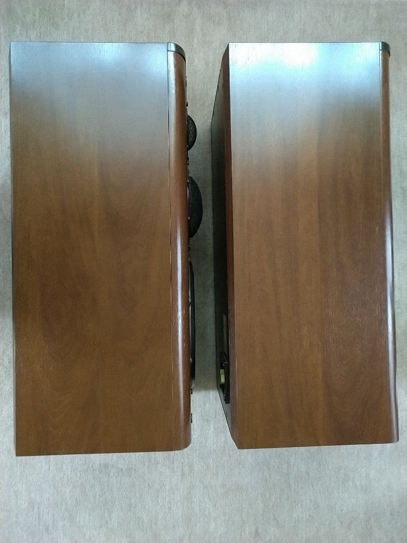 スピーカー・ウーファー DIATONE DS-1000ZX