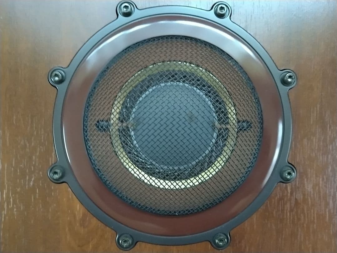 スピーカー・ウーファー DIATONE DS-1000ZX