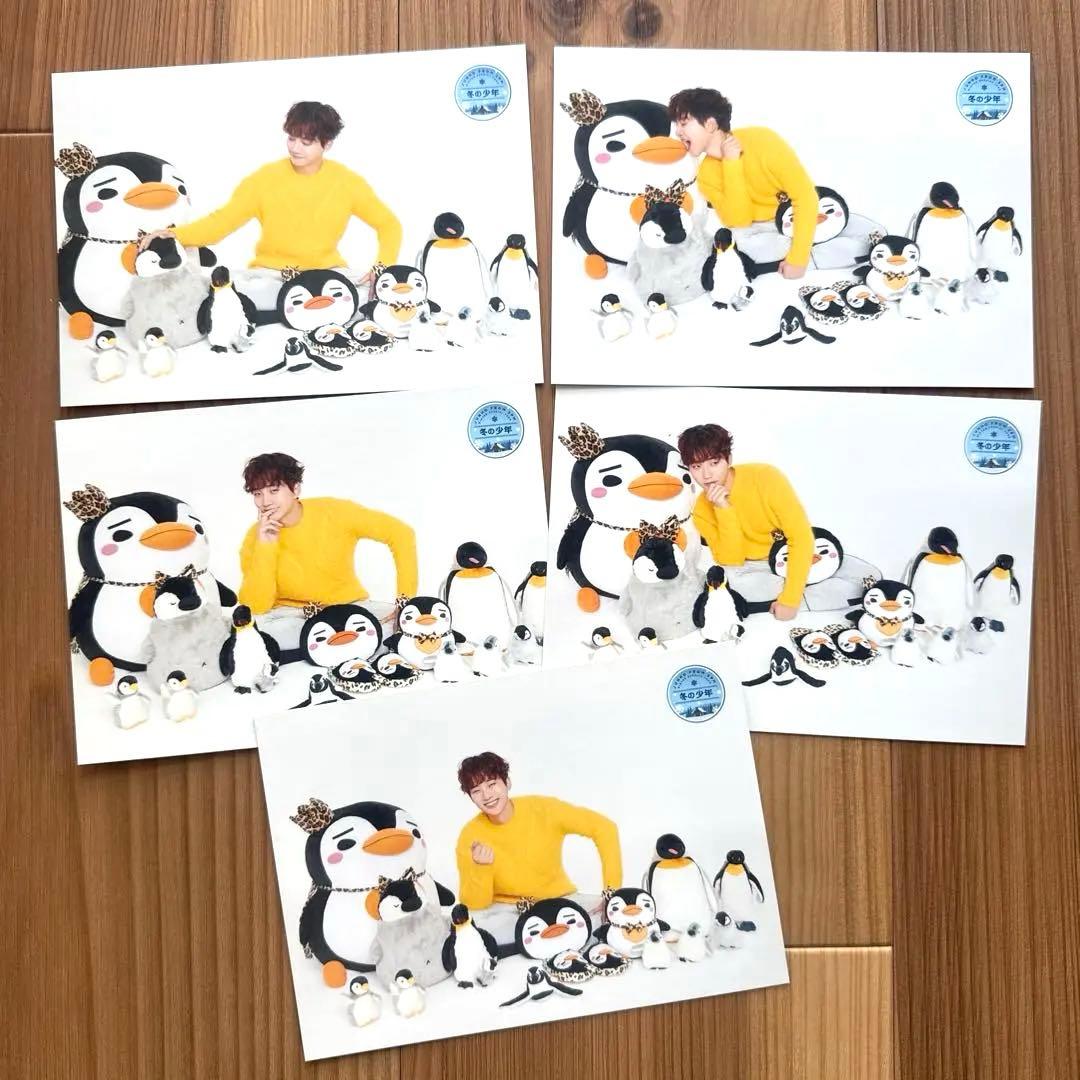 ジュノ 2PM 冬の少年 ランダムトレカ 5枚コンプb