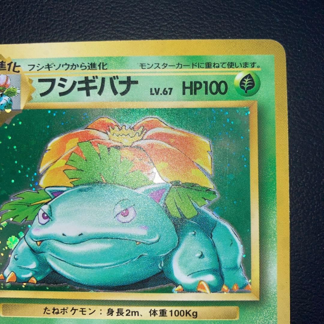 美品　フシギバナ　旧裏　キラ　ホロ