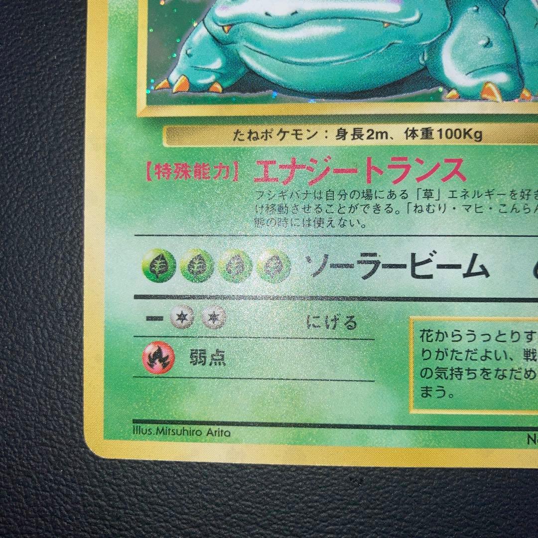 美品　フシギバナ　旧裏　キラ　ホロ