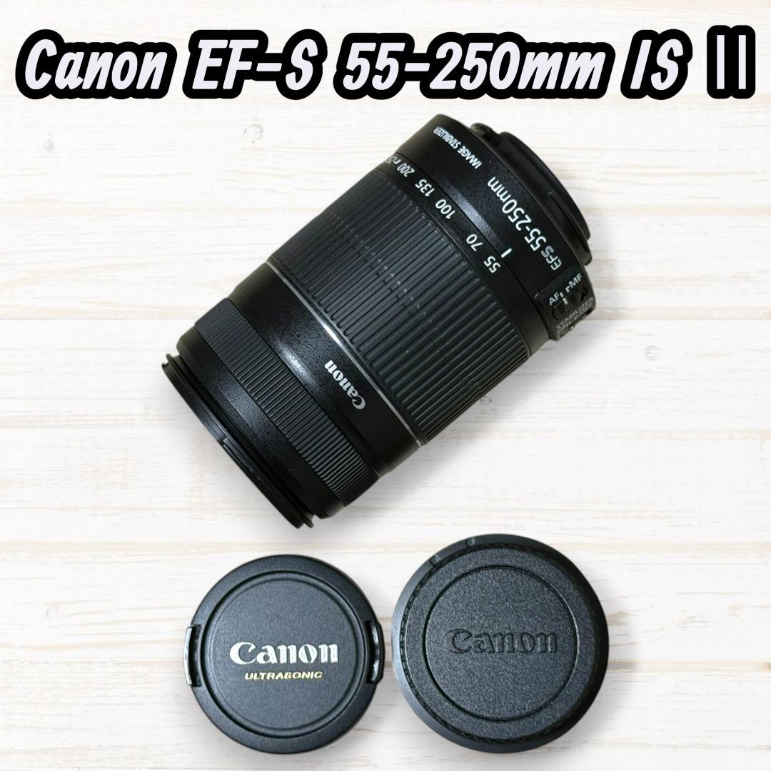 Canon ズームレンズ EF-S 55-250mm IS Ⅱ #272