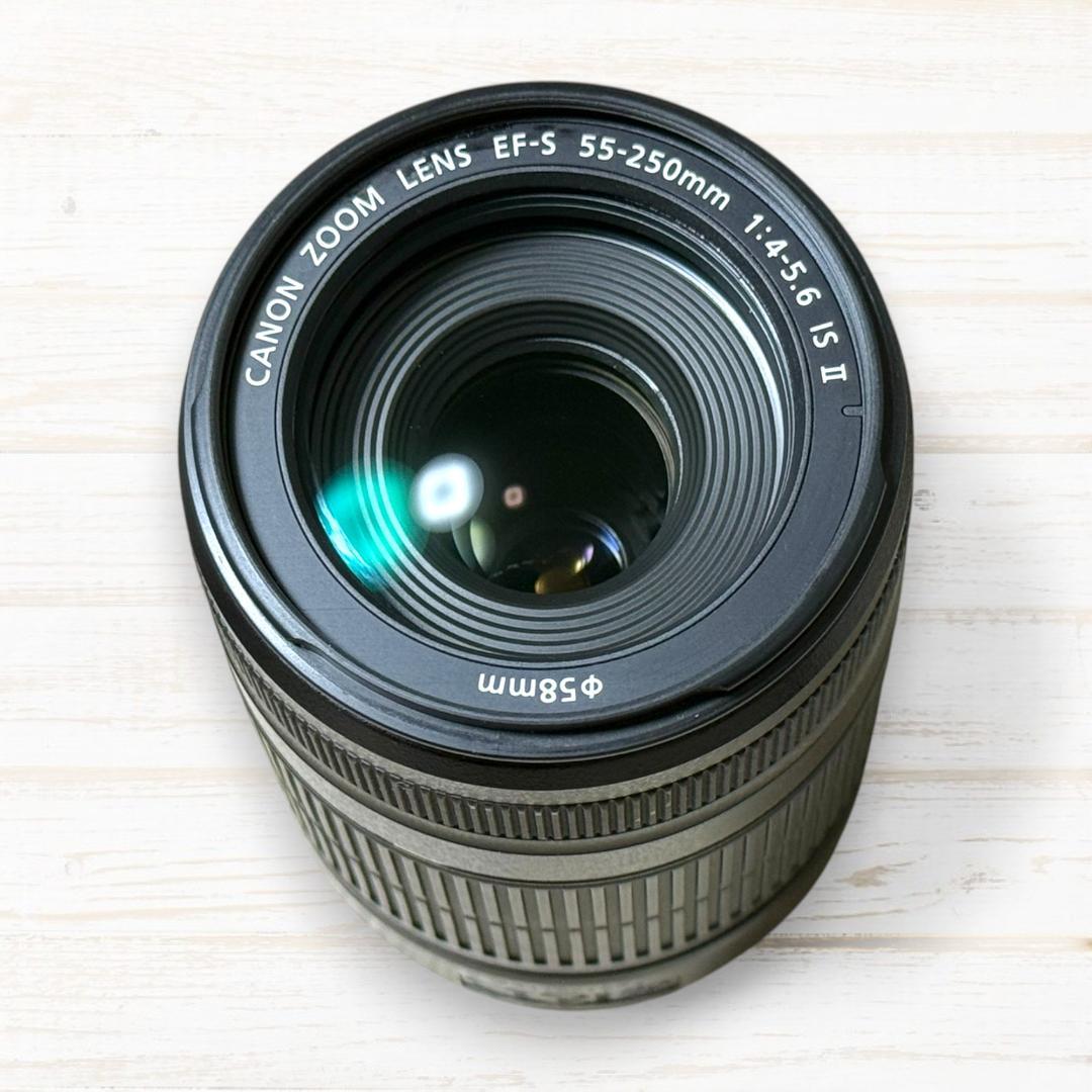 Canon ズームレンズ EF-S 55-250mm IS Ⅱ #272